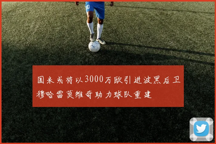 国米或将以3000万欧引进波黑后卫穆哈雷莫维奇助力球队重建